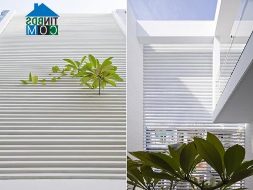 Ảnh Thiết kế nhà đẹp diện tích 80m2