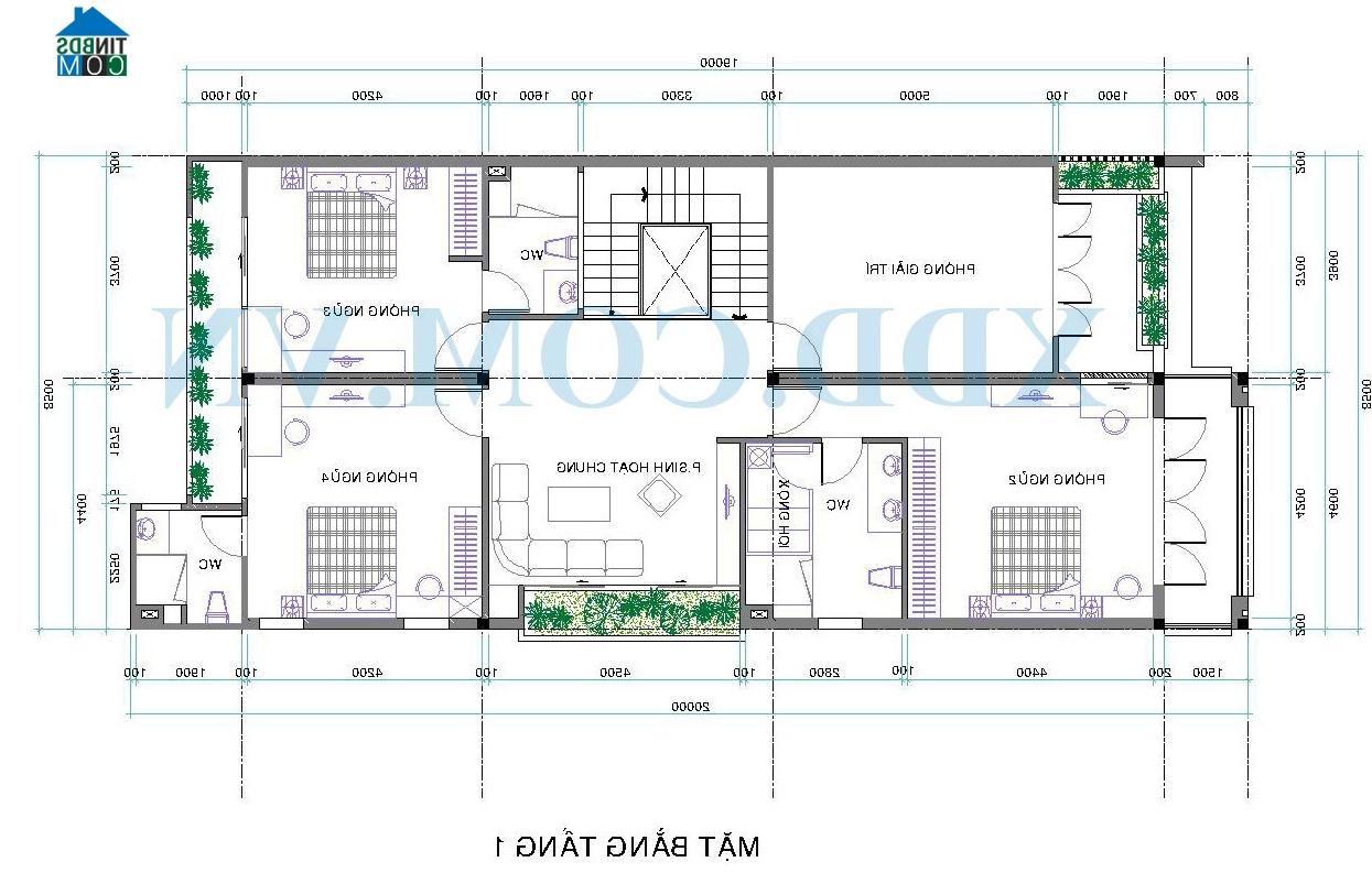 Ảnh Xây biệt thự 2 tầng trên đất 8,5 x 26m