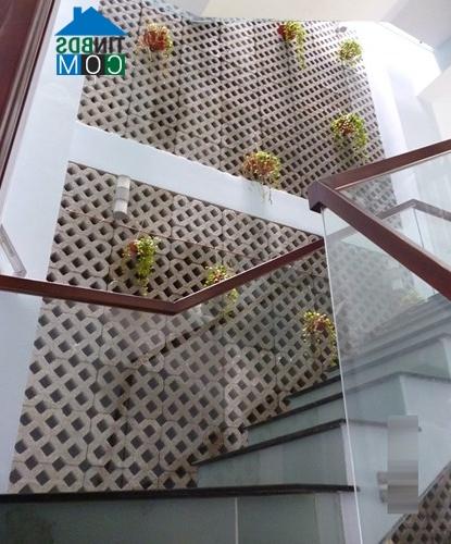 Ảnh Tư vấn cách chọn và sử dụng gạch xi măng cốt liệu