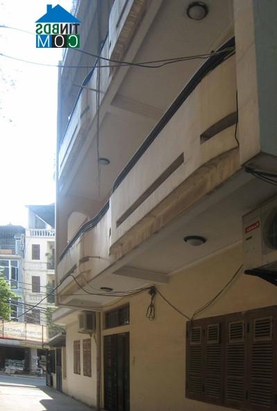 Ảnh Cải tạo không gian ngôi nhà trở nên tràn đầy màu xanh