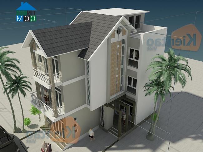 Ảnh Tư vấn thiết kế nhà lô mặt tiền rộng kiểu biệt thự