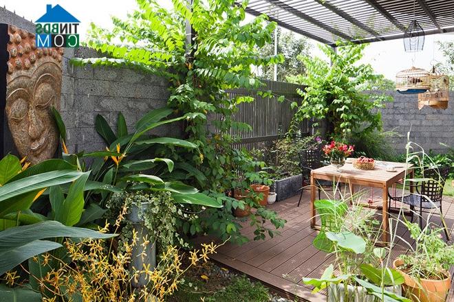 Ảnh Nhà đẹp xanh mát, tràn ngập ánh nắng ở Sài Gòn