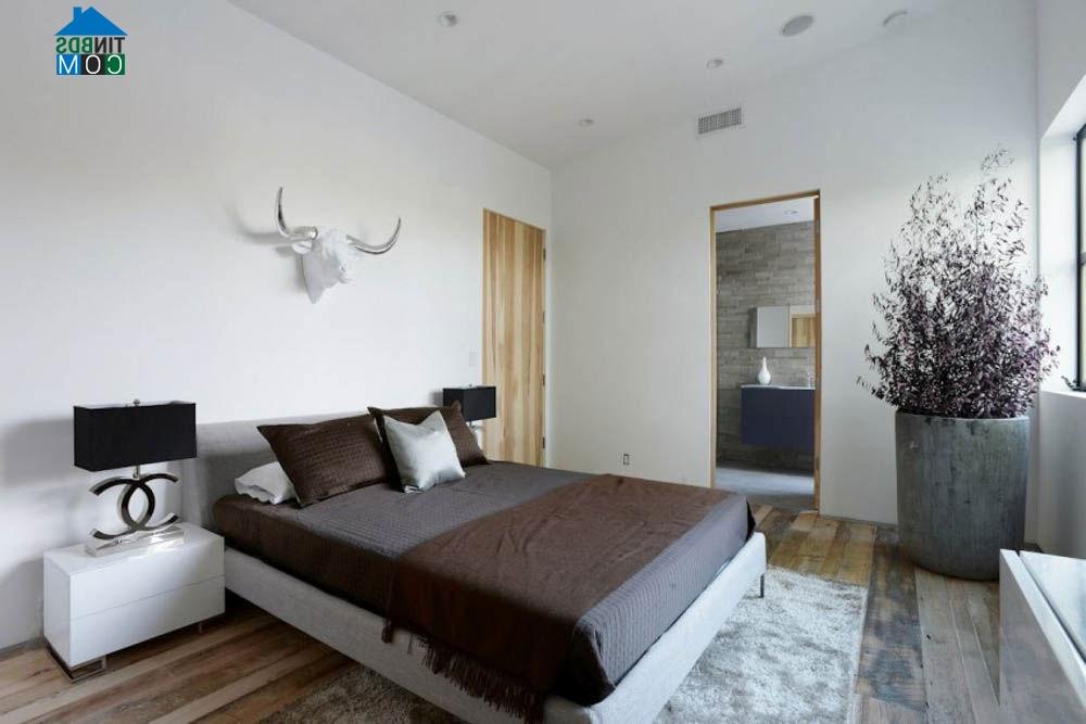 Ảnh Tư vấn xây nhà cấp 4 đơn giản trên đất 40m²