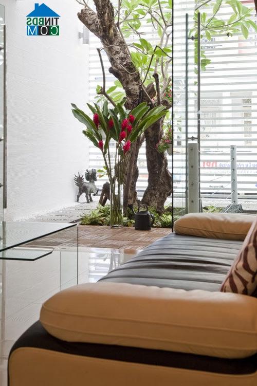 Ảnh Thiết kế nhà đẹp diện tích 80m2