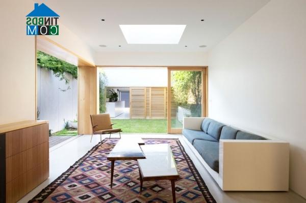 Ảnh Thiết kế nhà ống hiện đại, gần gũi thiên nhiên