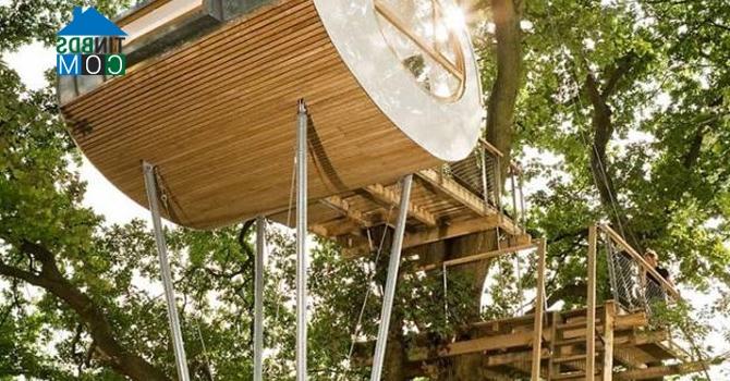 Ảnh “Treehouse Djuren” - Ngôi nhà trên cây có chức năng xả stress