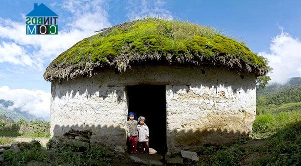 Ảnh Vẻ đẹp nhà tường trình ở Y Tý