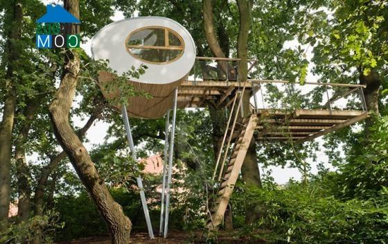 Ảnh “Treehouse Djuren” - Ngôi nhà trên cây có chức năng xả stress