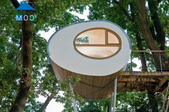 Ảnh “Treehouse Djuren” - Ngôi nhà trên cây có chức năng xả stress