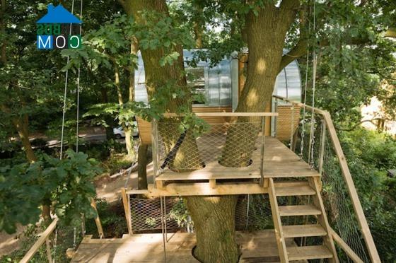 Ảnh “Treehouse Djuren” - Ngôi nhà trên cây có chức năng xả stress