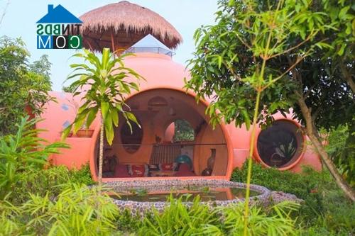 Ảnh Ngôi nhà cổ tích xây trong 6 tuần
