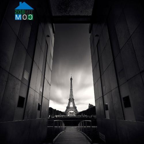 Ảnh Ngắm Paris đẹp ảo diệu qua hai màu trắng đen