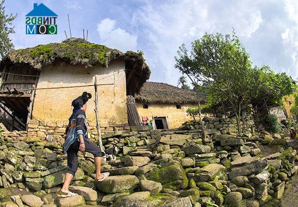 Ảnh Vẻ đẹp nhà tường trình ở Y Tý