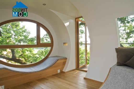 Ảnh “Treehouse Djuren” - Ngôi nhà trên cây có chức năng xả stress