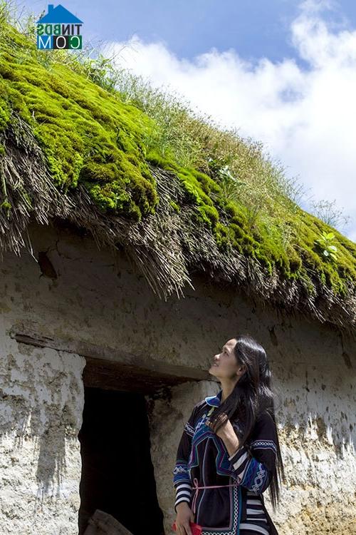 Ảnh Vẻ đẹp nhà tường trình ở Y Tý