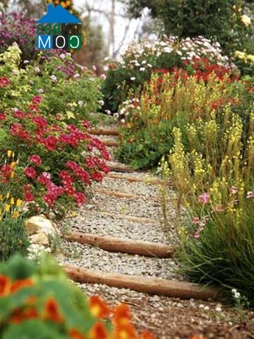 Ảnh Thiết kế khu vườn thôn dã