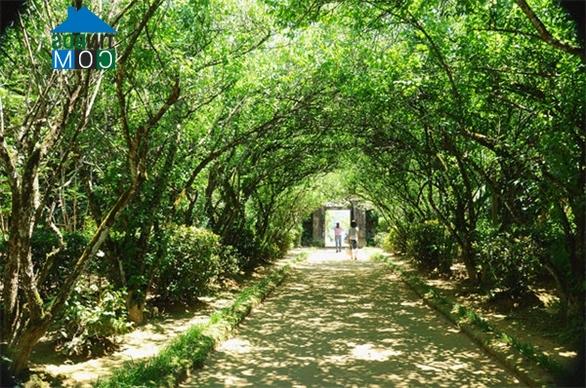 Ảnh Dịu dàng không gian nhà vườn ở Huế