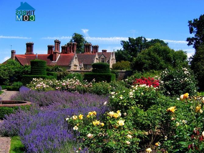 Ảnh Những ngôi làng bình yên, thơ mộng ở West Sussex