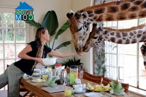 Ảnh Top 10 khách sạn dị và độc nhất thế giới
