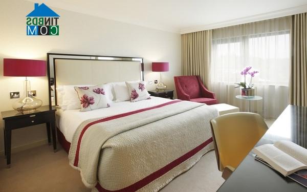 Ảnh Tư vấn thiết kế nhà ống tiết kiệm chi phí, DT 5,2x23m