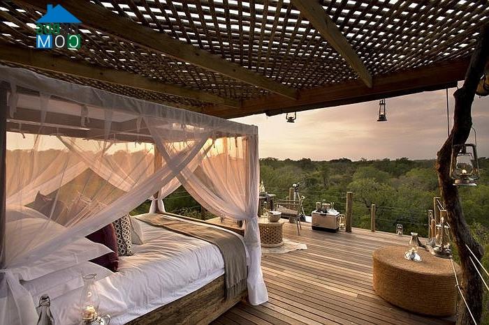 Ảnh Những ngôi nhà cây đẹp nhất thế giới ở Nam Phi