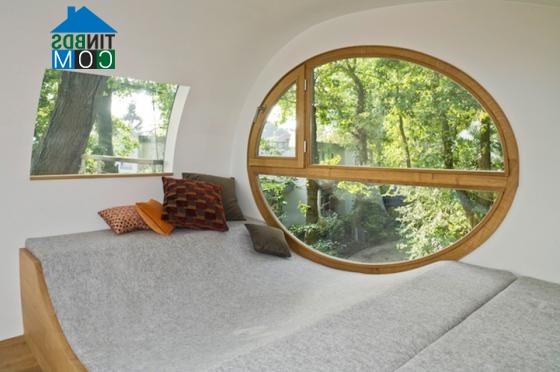 Ảnh “Treehouse Djuren” - Ngôi nhà trên cây có chức năng xả stress