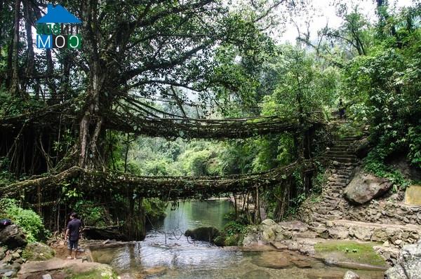 Ảnh Chiêm ngưỡng những cây cầu kiệt tác của thế giới (P.1)