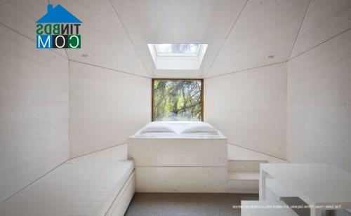 Ảnh Độc đáo ngôi nhà kiểu rắn
