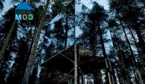 Ảnh Danh sách 10 ngôi nhà cây đắt nhất thế giới