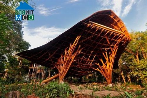 Ảnh Villa Eco - Kiến trúc lấy cảm hứng từ... cá