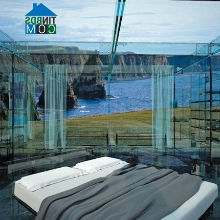 Ảnh Độc đáo nhà kính trong suốt