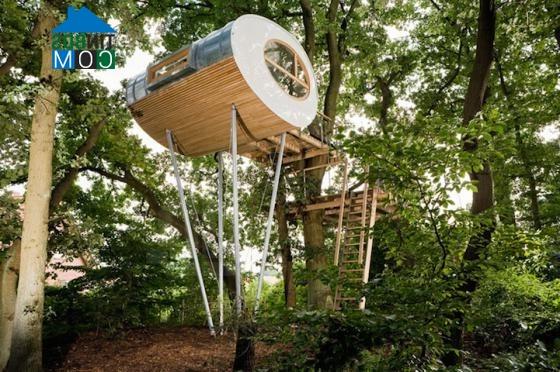 Ảnh “Treehouse Djuren” - Ngôi nhà trên cây có chức năng xả stress