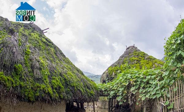 Ảnh Vẻ đẹp nhà tường trình ở Y Tý