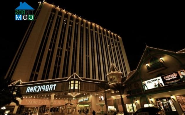 Ảnh Ngắm cả thế giới ở Las Vegas