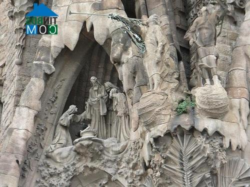 Ảnh Ngắm nhà thờ Sagrada Familia – Tây Ban Nha