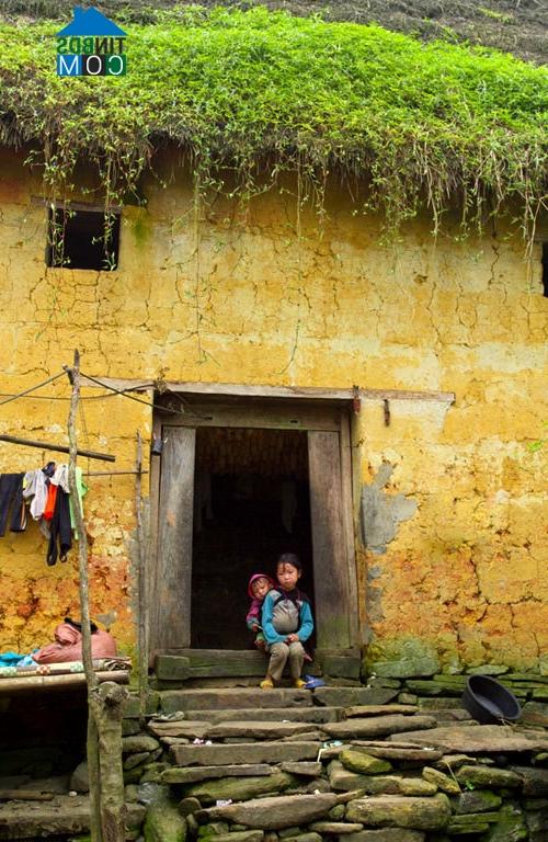 Ảnh Vẻ đẹp nhà tường trình ở Y Tý