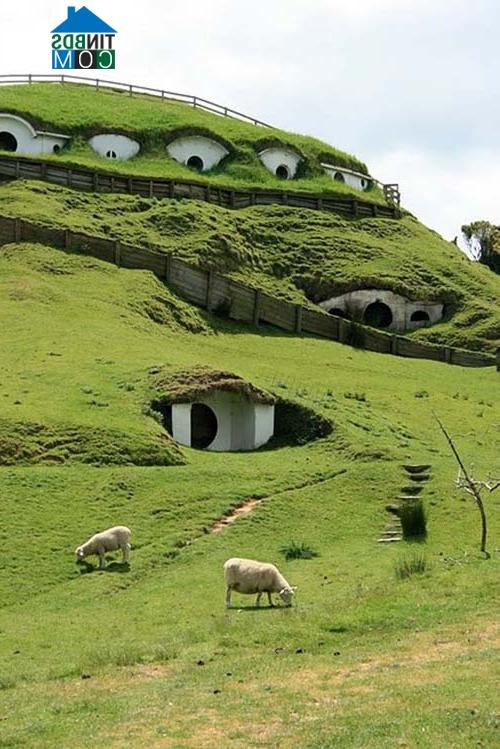 Ảnh Nhà Hobbit ngộ nghĩnh, lãng mạn