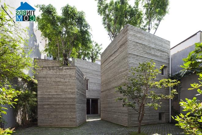 Ảnh "House for trees" - Ngôi nhà cho cây xanh giữa Sài Gòn