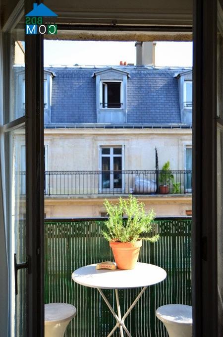 Ảnh 40m2 đầy cảm hứng của một nhà văn ở Paris