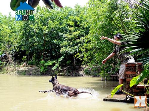 Ảnh Nông trang yên bình của diễn viên Giang Còi