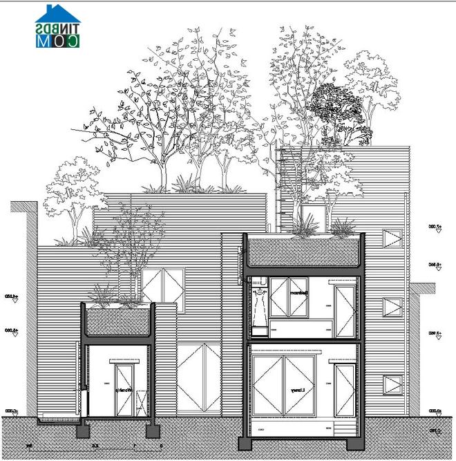 Ảnh "House for trees" - Ngôi nhà cho cây xanh giữa Sài Gòn