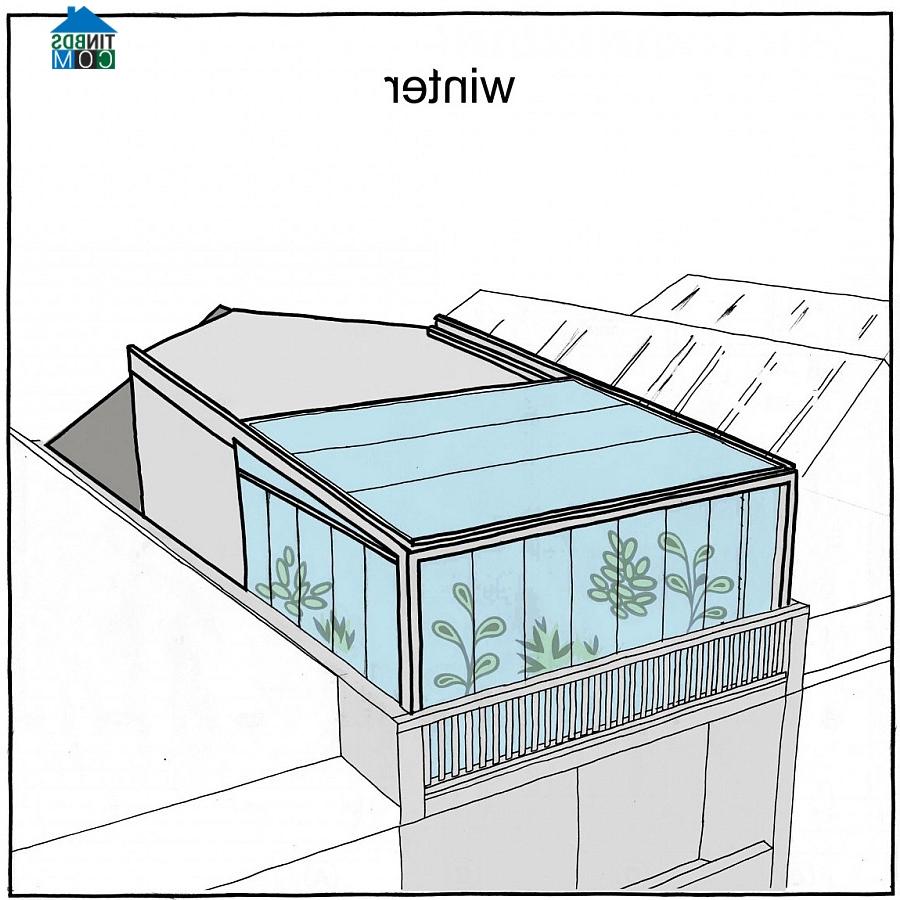 Ảnh Ngắm khu vườn rực rỡ trên sân thượng ngôi nhà cổ