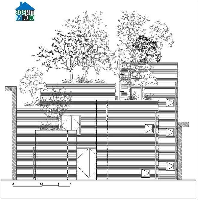 Ảnh "House for trees" - Ngôi nhà cho cây xanh giữa Sài Gòn