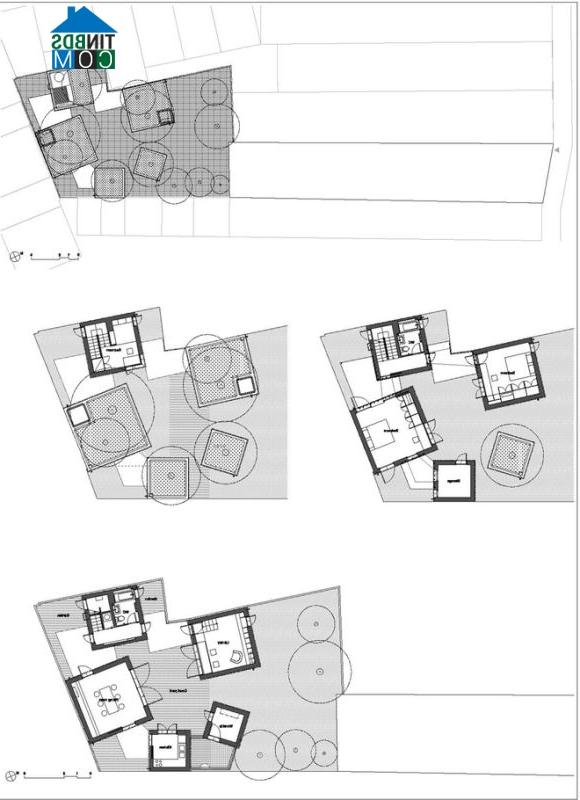 Ảnh "House for trees" - Ngôi nhà cho cây xanh giữa Sài Gòn