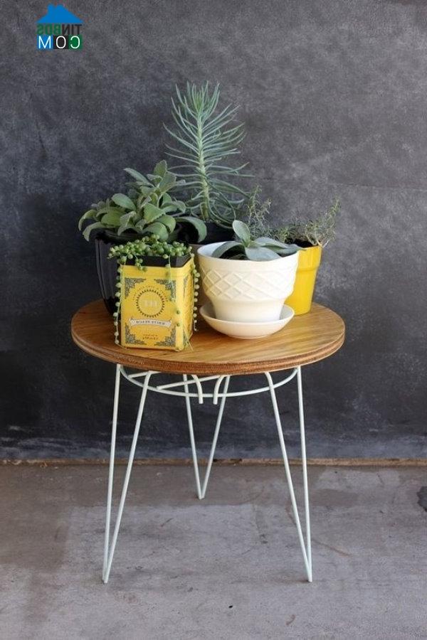 Ảnh Tự tay tạo khu vườn Vintage từ những hộp thiếc cũ