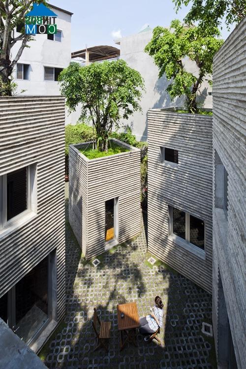 Ảnh "House for trees" - Ngôi nhà cho cây xanh giữa Sài Gòn