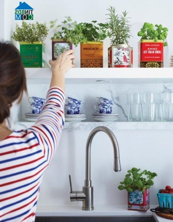 Ảnh Tự tay tạo khu vườn Vintage từ những hộp thiếc cũ