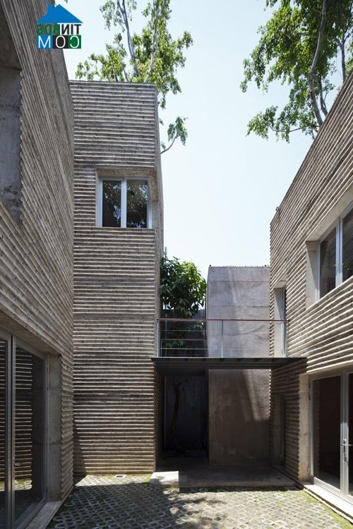 Ảnh "House for trees" - Ngôi nhà cho cây xanh giữa Sài Gòn