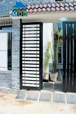 Ảnh Vẻ đẹp của sự tương phản