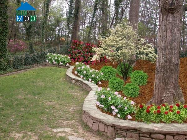 Mẫu thiết kế vườn đẹp với đường bo viền phân tách rõ ràng